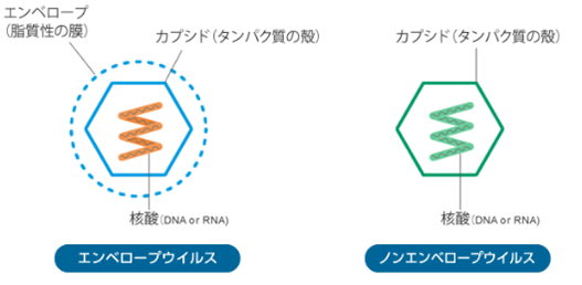 図2.png